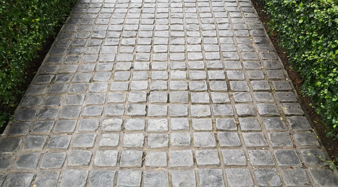 stamp concrete black color hardener printing patterns on the cement or mortar surface block shape square pattern material rough texture background corridor leaves green tree texture nature